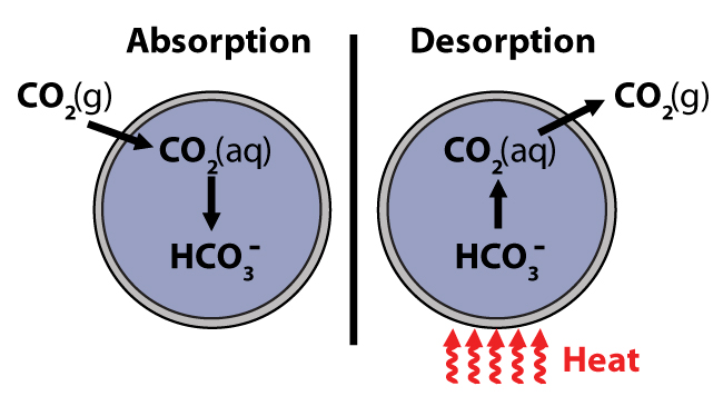 CO2adsorption