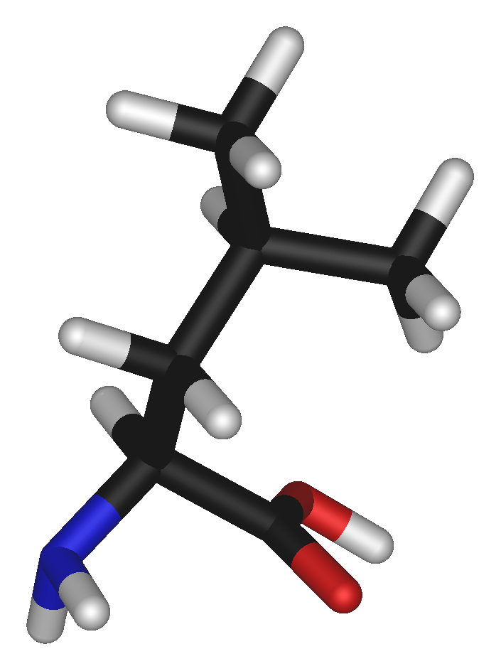 L leucine 3D sticks