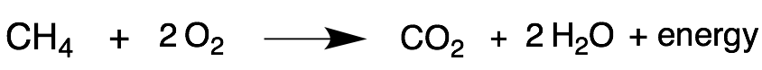 combustionReaction1